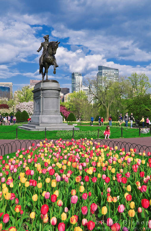 June Real Estate Continuing Ed Classes Online Keep Me Certified Blog